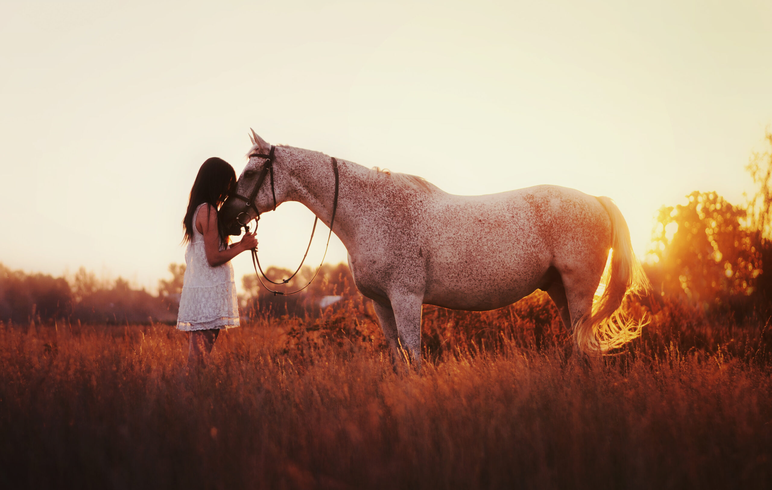 bajki marta job fotografia (15)