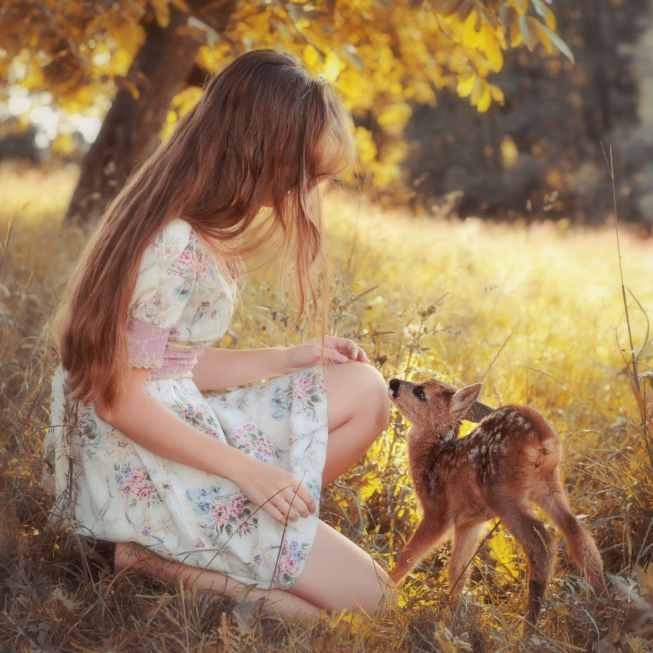 bajki marta job fotografia (6)