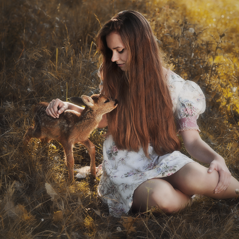 bajki sarenka marta job