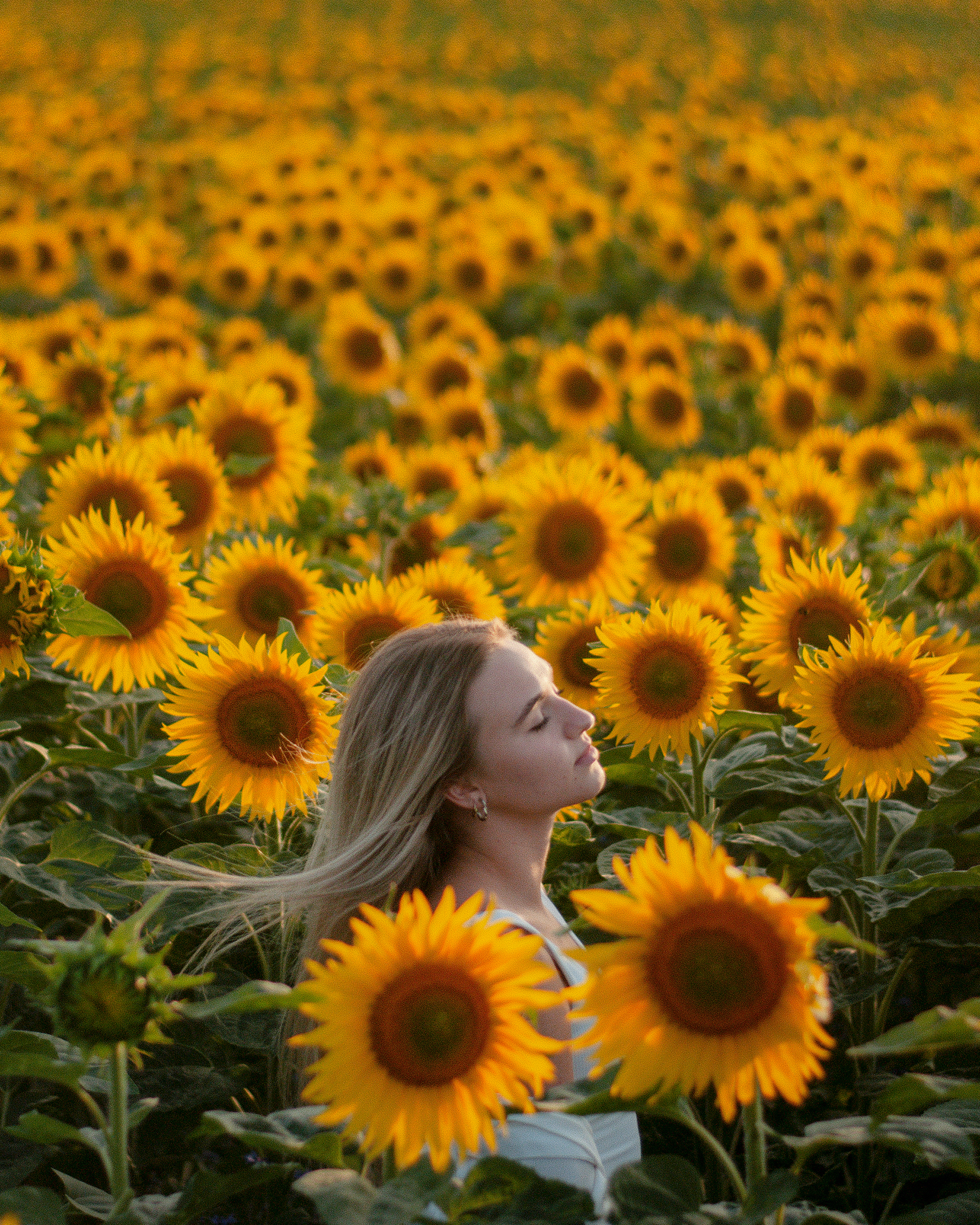 portrety projekt marta job