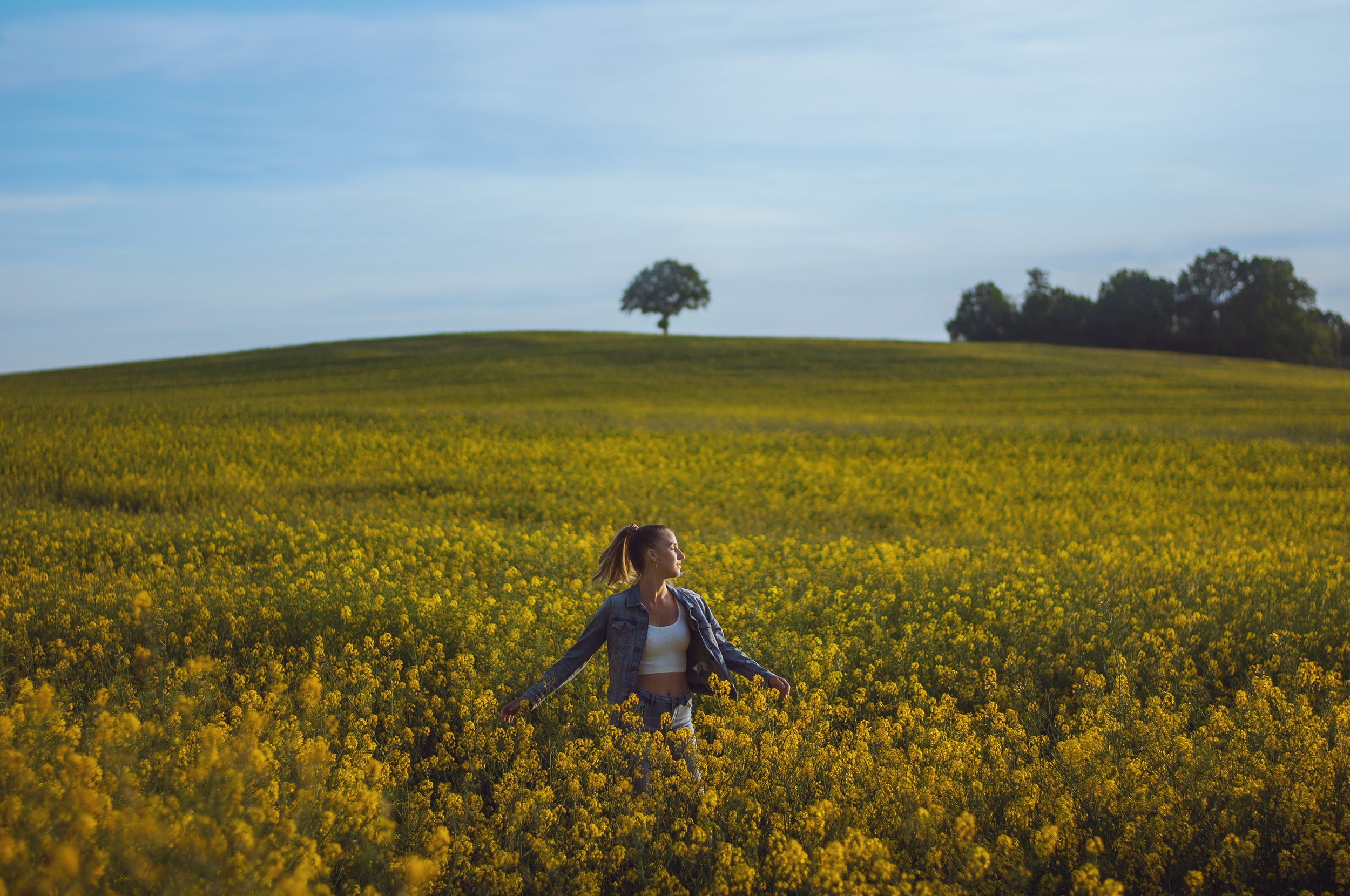 portrety projekt marta job