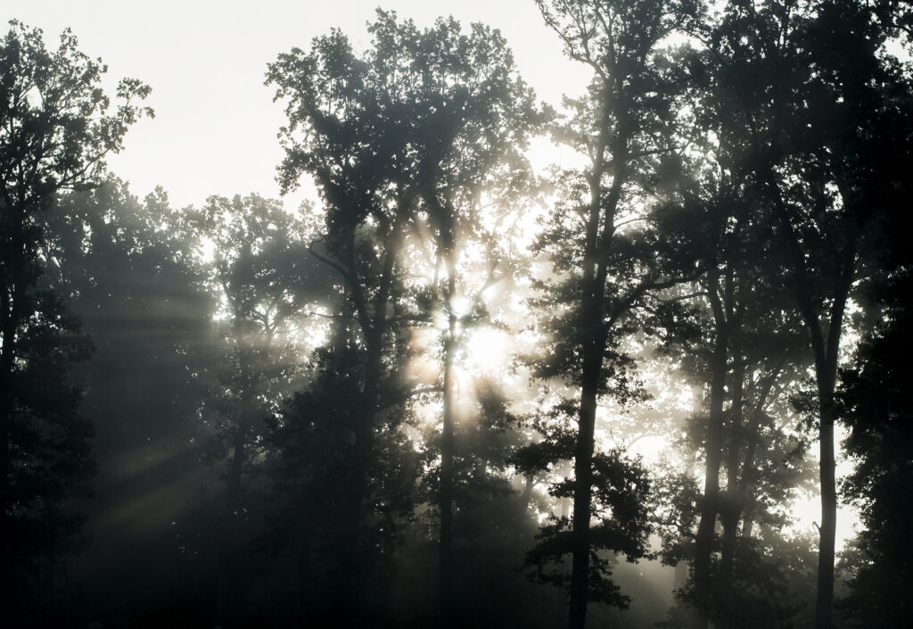 seasonal depressions marta job