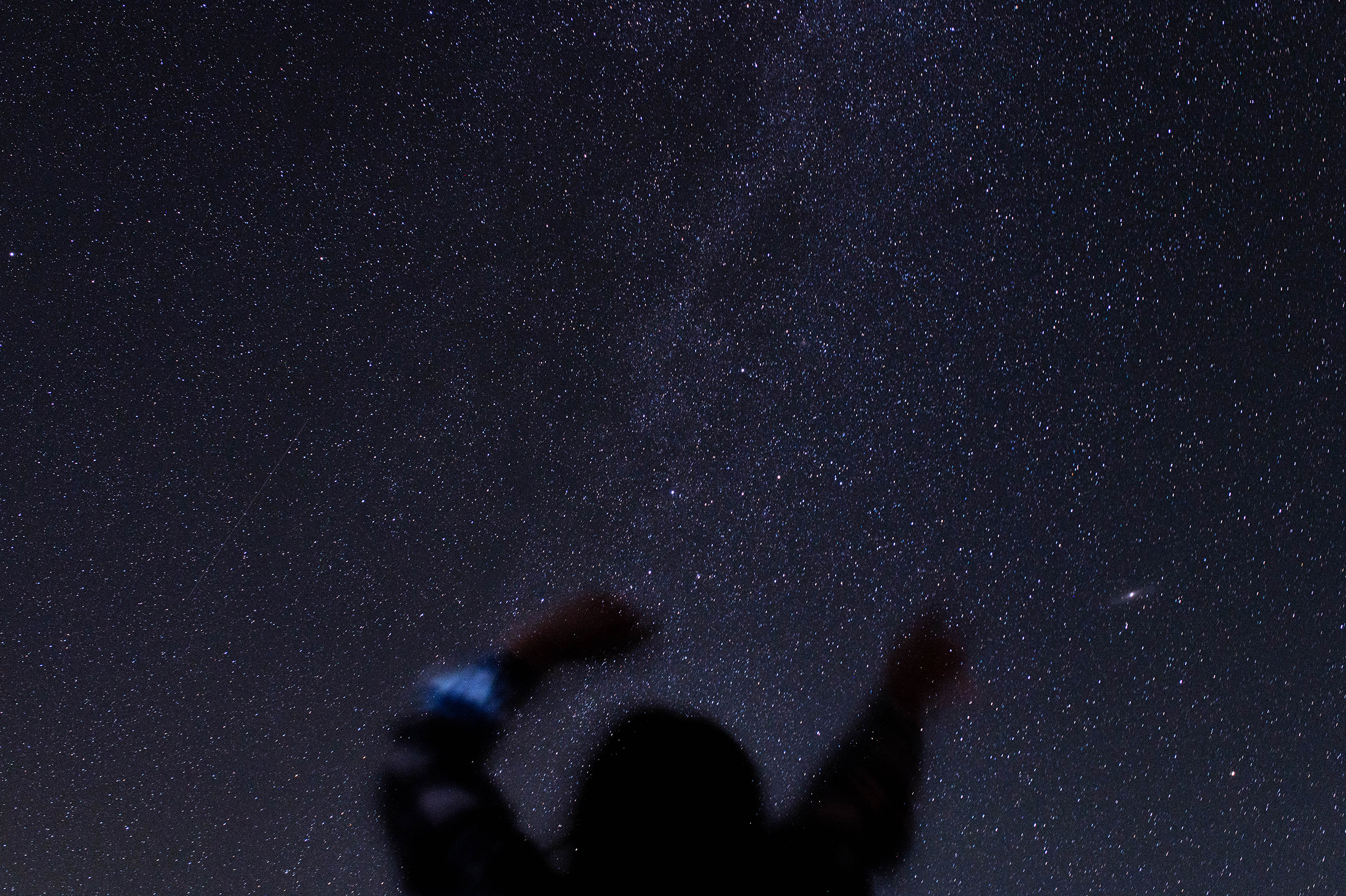 seasonal depressions marta job